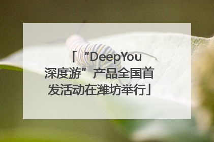“DeepYou深度游”产品全国首发活动在潍坊举行