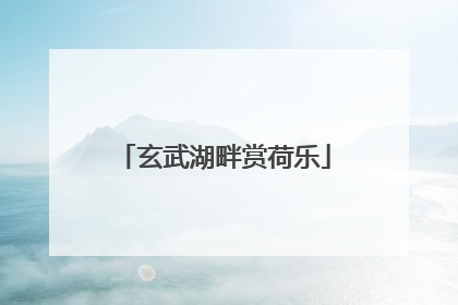 玄武湖畔赏荷乐