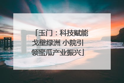 玉门：科技赋能戈壁绿洲 小院引领蜜瓜产业振兴