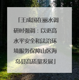王成国在丽水调研时强调：以更高水平安全和法治环境服务保障山区海岛县高质量发展