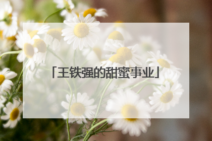 王铁强的甜蜜事业