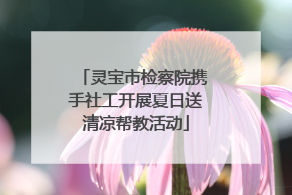 灵宝市检察院携手社工开展夏日送清凉帮教活动