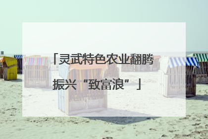 灵武特色农业翻腾振兴“致富浪”