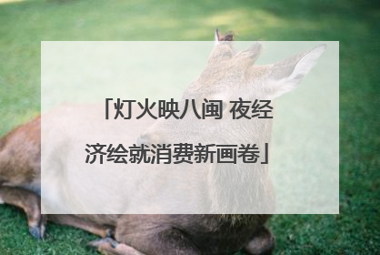 灯火映八闽 夜经济绘就消费新画卷