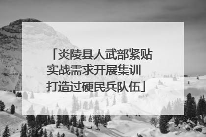 炎陵县人武部紧贴实战需求开展集训 打造过硬民兵队伍
