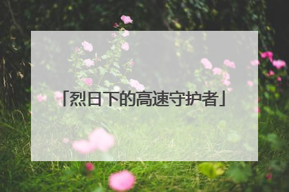 烈日下的高速守护者