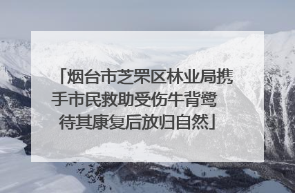 烟台市芝罘区林业局携手市民救助受伤牛背鹭 待其康复后放归自然