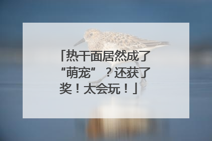 热干面居然成了“萌宠”？还获了奖！太会玩！