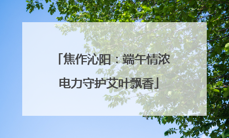 焦作沁阳：端午情浓 电力守护艾叶飘香