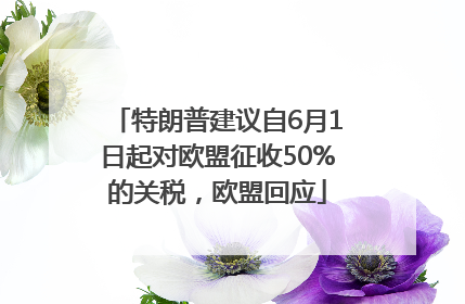 特朗普建议自6月1日起对欧盟征收50%的关税，欧盟回应