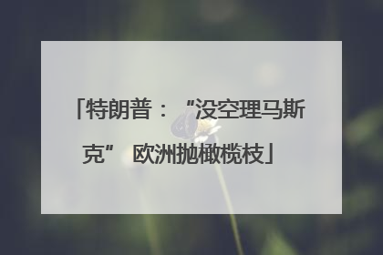 特朗普：“没空理马斯克” 欧洲抛橄榄枝