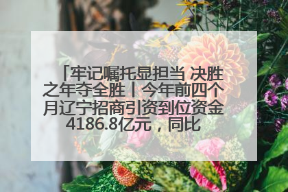 牢记嘱托显担当 决胜之年夺全胜丨今年前四个月辽宁招商引资到位资金4186.8亿元，同比增长17.4%