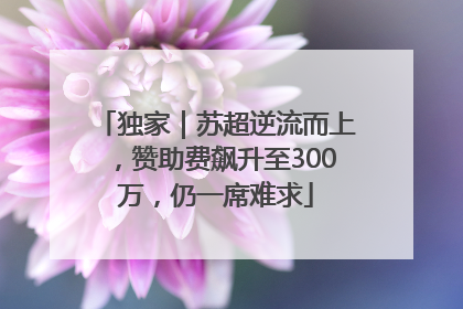 独家｜苏超逆流而上，赞助费飙升至300万，仍一席难求