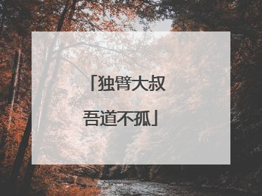 独臂大叔 吾道不孤