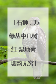 石狮：万绿丛中几树红 湿地荷塘韵无穷