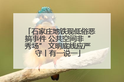 石家庄地铁现低俗恶搞事件 公共空间非“秀场” 文明底线应严守丨有一说一