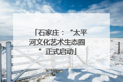 石家庄：“太平河文化艺术生态圈”正式启动