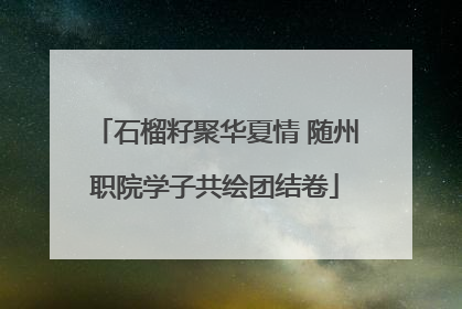 石榴籽聚华夏情 随州职院学子共绘团结卷