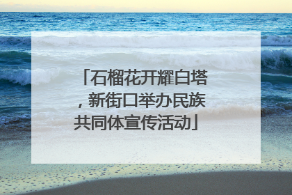 石榴花开耀白塔，新街口举办民族共同体宣传活动
