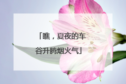 瞧，夏夜的车谷升腾烟火气