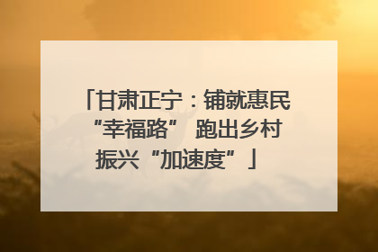 甘肃正宁：铺就惠民“幸福路” 跑出乡村振兴“加速度”