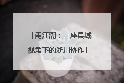 甬江潮：一座县域视角下的浙川协作