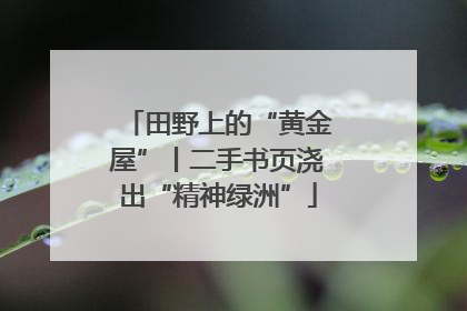 田野上的“黄金屋”丨二手书页浇出“精神绿洲”
