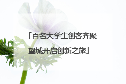 百名大学生创客齐聚望城开启创新之旅