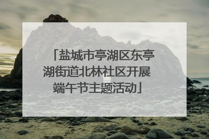 盐城市亭湖区东亭湖街道北林社区开展端午节主题活动