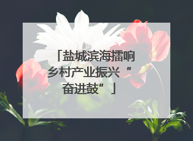盐城滨海擂响乡村产业振兴“奋进鼓”
