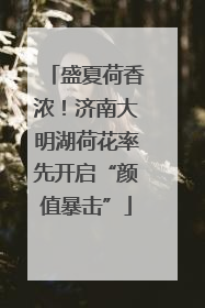 盛夏荷香浓！济南大明湖荷花率先开启“颜值暴击”