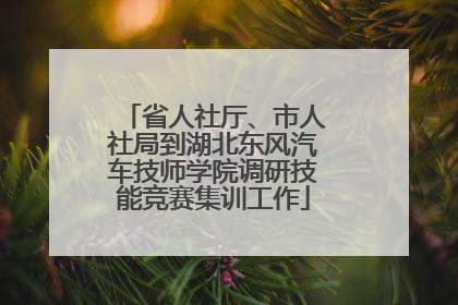 省人社厅、市人社局到湖北东风汽车技师学院调研技能竞赛集训工作