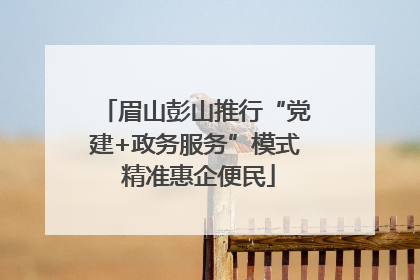 眉山彭山推行“党建+政务服务”模式 精准惠企便民