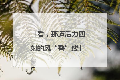看，那道活力四射的风“警”线