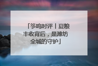 筝鸣时评丨夏粮丰收背后，是潍坊全城的守护