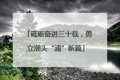 砥砺奋进三十载，勇立潮头“浦”新篇