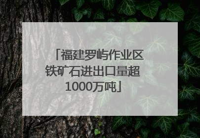 福建罗屿作业区铁矿石进出口量超1000万吨