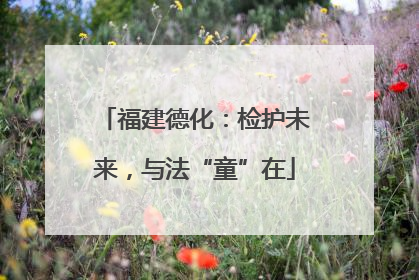 福建德化：检护未来，与法“童”在