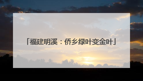 福建明溪：侨乡绿叶变金叶