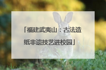 福建武夷山：古法造纸非遗技艺进校园
