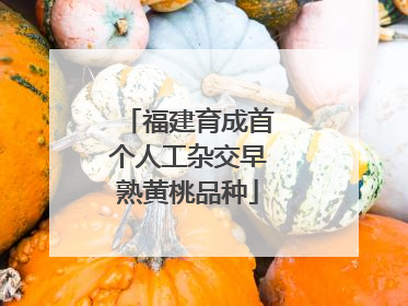福建育成首个人工杂交早熟黄桃品种