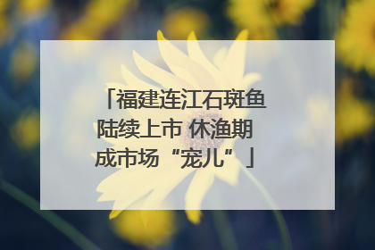 福建连江石斑鱼陆续上市 休渔期成市场“宠儿”