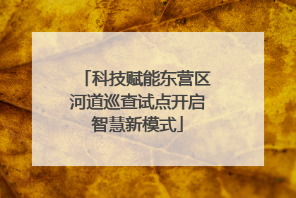科技赋能东营区河道巡查试点开启智慧新模式