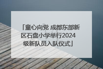 童心向党 成都东部新区石盘小学举行2024级新队员入队仪式