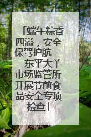 端午粽香四溢，安全保驾护航——东平大羊市场监管所开展节前食品安全专项检查