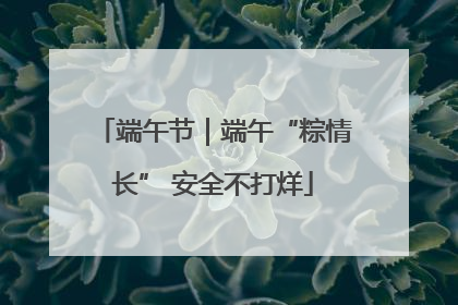 端午节｜端午“粽情长” 安全不打烊