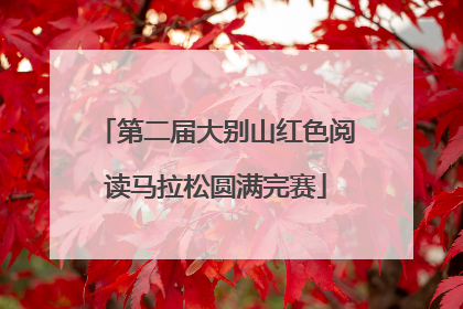 第二届大别山红色阅读马拉松圆满完赛