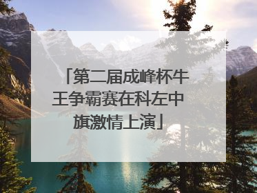第二届成峰杯牛王争霸赛在科左中旗激情上演
