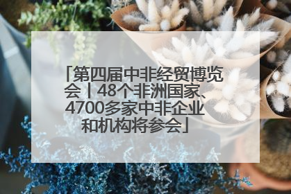 第四届中非经贸博览会丨48个非洲国家、4700多家中非企业和机构将参会