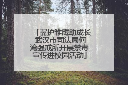翼护雏鹰助成长 武汉市司法局何湾强戒所开展禁毒宣传进校园活动